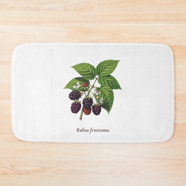Item preview, Blackberry Botanical T-Shirt | Rubus fruticosus Vintage Illustration | Berry Lover Gift designed and sold by Panom Suavichien.