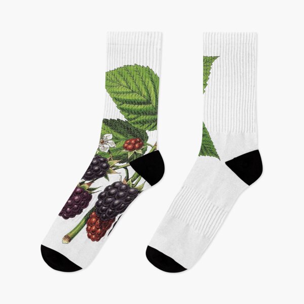 Item preview, Blackberry Botanical T-Shirt | Rubus fruticosus Vintage Illustration | Berry Lover Gift designed and sold by Panom Suavichien.
