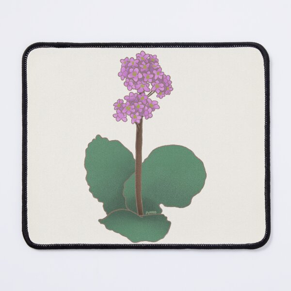 Item preview, bergenia cordifolia designed and sold by jlynmor.