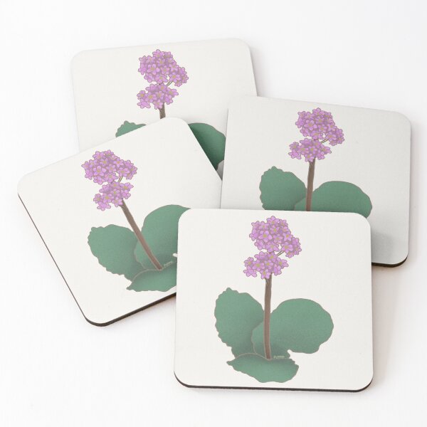 Item preview, bergenia cordifolia designed and sold by jlynmor.