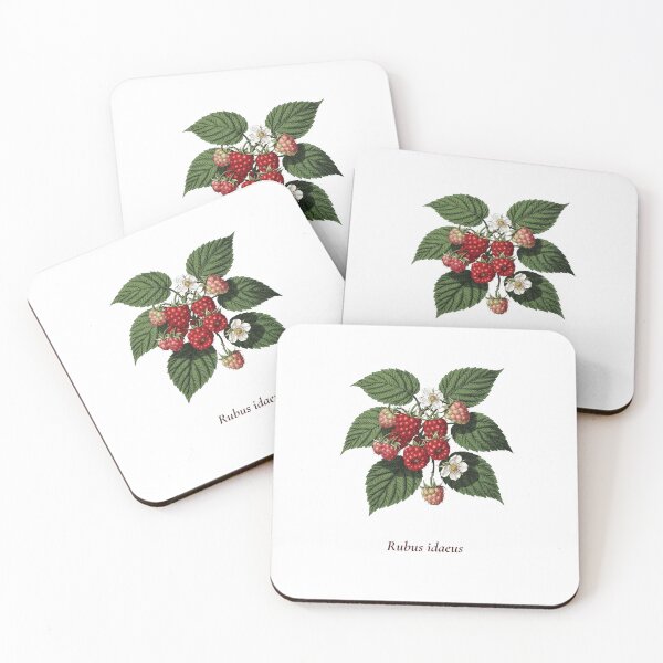 Item preview, Raspberry Botanical T-Shirt | Rubus idaeus Vintage Illustration | Berry Lover Gift designed and sold by Panom Suavichien.