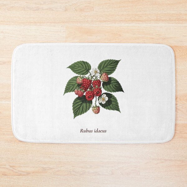 Item preview, Raspberry Botanical T-Shirt | Rubus idaeus Vintage Illustration | Berry Lover Gift designed and sold by Panom Suavichien.