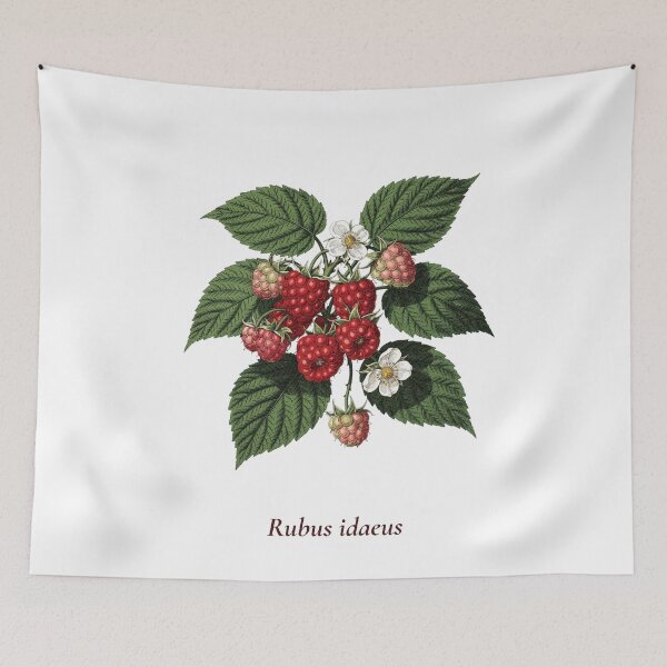 Aperçu de l'œuvre T-shirt botanique framboise | Illustration vintage de Rubus idaeus | Cadeau pour les amoureux des baies créée et vendue par Panom Suavichien.