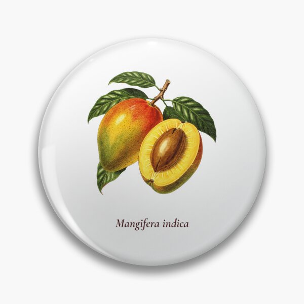 Item preview, Mango Botanical T-Shirt | Mangifera indica Vintage Illustration | Tropical Fruit Gift designed and sold by Panom Suavichien.