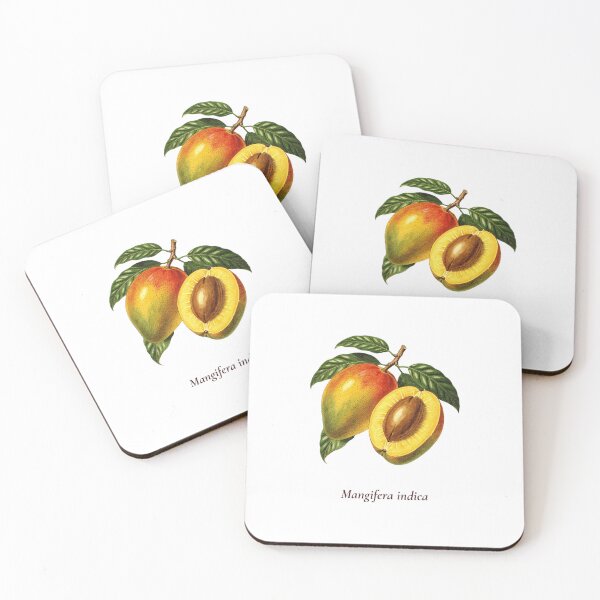 Item preview, Mango Botanical T-Shirt | Mangifera indica Vintage Illustration | Tropical Fruit Gift designed and sold by Panom Suavichien.