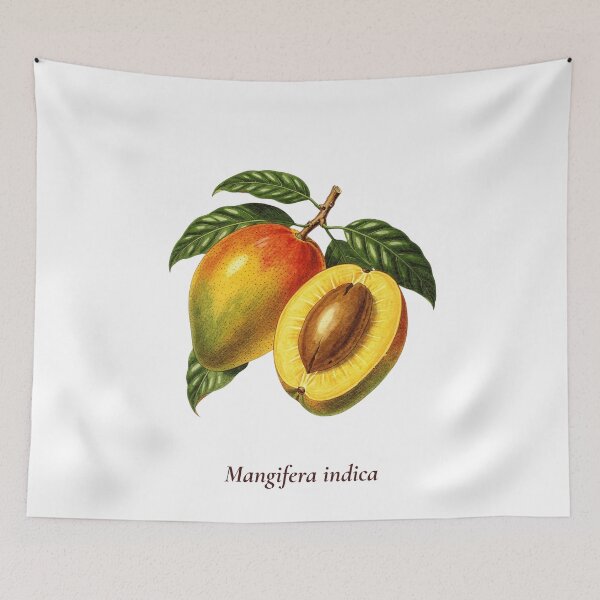 Item preview, Mango Botanical T-Shirt | Mangifera indica Vintage Illustration | Tropical Fruit Gift designed and sold by Panom Suavichien.