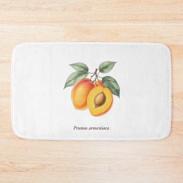 Item preview, Apricot Botanical T-Shirt | Prunus armeniaca Vintage Illustration | Fruit Lover Gift designed and sold by Panom Suavichien.