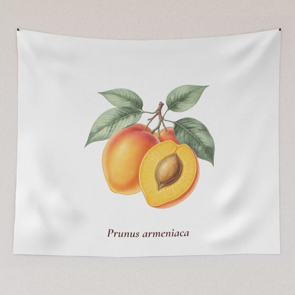 Item preview, Apricot Botanical T-Shirt | Prunus armeniaca Vintage Illustration | Fruit Lover Gift designed and sold by Panom Suavichien.