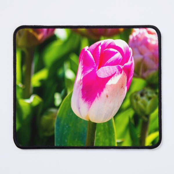 Item preview, Pink Single Tulip designed and sold by AdrianJune.