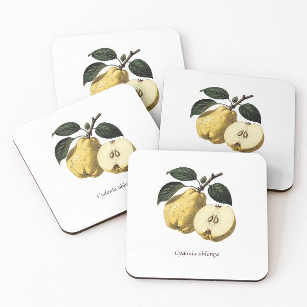Item preview, Quince Botanical T-Shirt | Cydonia oblonga Vintage Illustration | Mediterranean Gift designed and sold by Panom Suavichien.