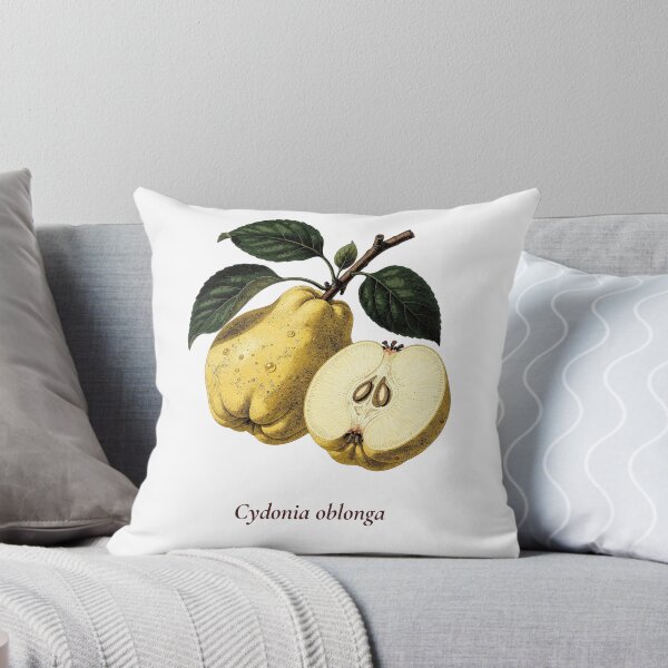Item preview, Quince Botanical T-Shirt | Cydonia oblonga Vintage Illustration | Mediterranean Gift designed and sold by Panom Suavichien.
