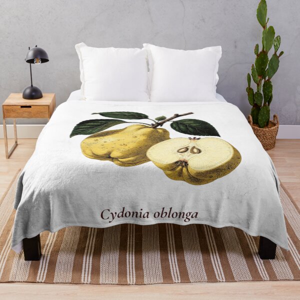Item preview, Quince Botanical T-Shirt | Cydonia oblonga Vintage Illustration | Mediterranean Gift designed and sold by Panom Suavichien.