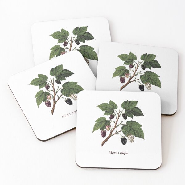 Item preview, Mulberry Botanical T-Shirt | Morus nigra Vintage Illustration | Berry Lover Gift designed and sold by Panom Suavichien.