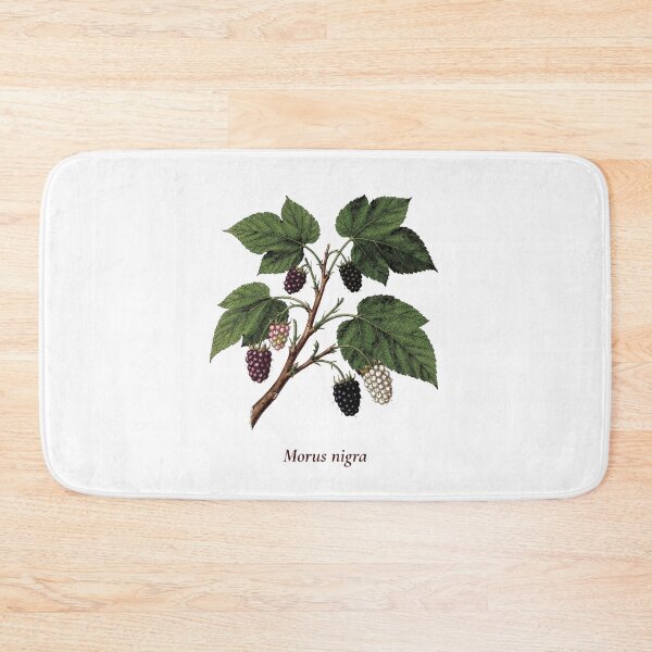 Item preview, Mulberry Botanical T-Shirt | Morus nigra Vintage Illustration | Berry Lover Gift designed and sold by Panom Suavichien.