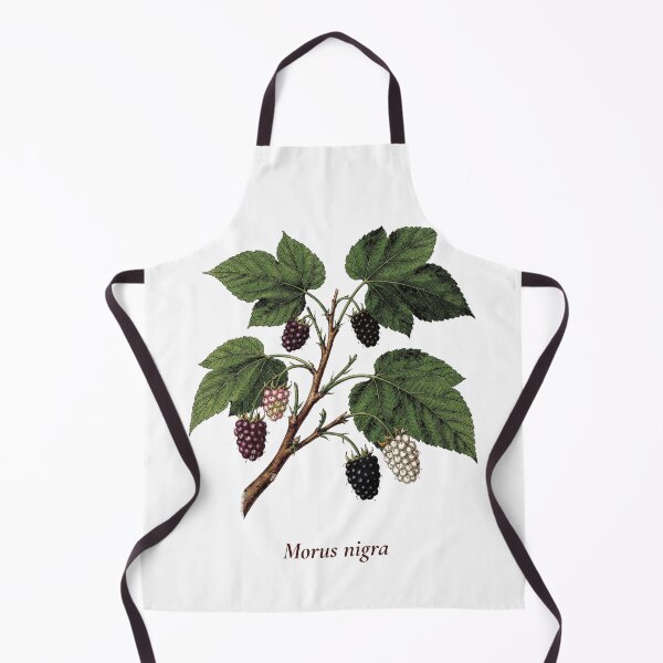 Item preview, Mulberry Botanical T-Shirt | Morus nigra Vintage Illustration | Berry Lover Gift designed and sold by Panom Suavichien.