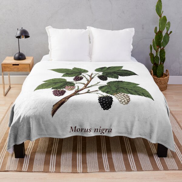 Item preview, Mulberry Botanical T-Shirt | Morus nigra Vintage Illustration | Berry Lover Gift designed and sold by Panom Suavichien.