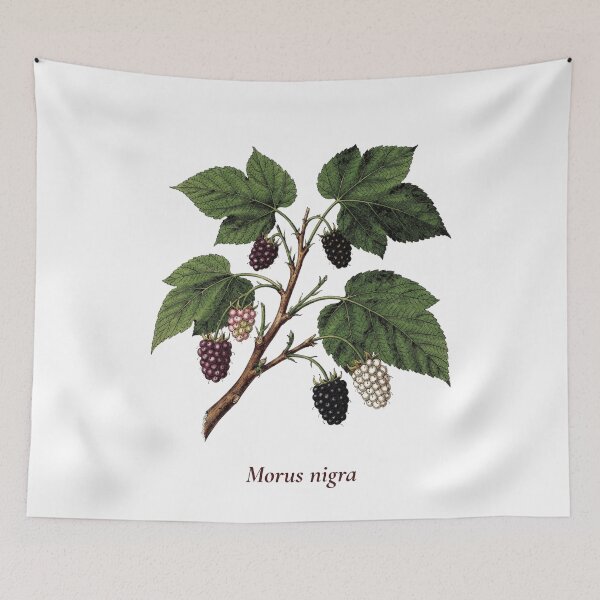 Item preview, Mulberry Botanical T-Shirt | Morus nigra Vintage Illustration | Berry Lover Gift designed and sold by Panom Suavichien.