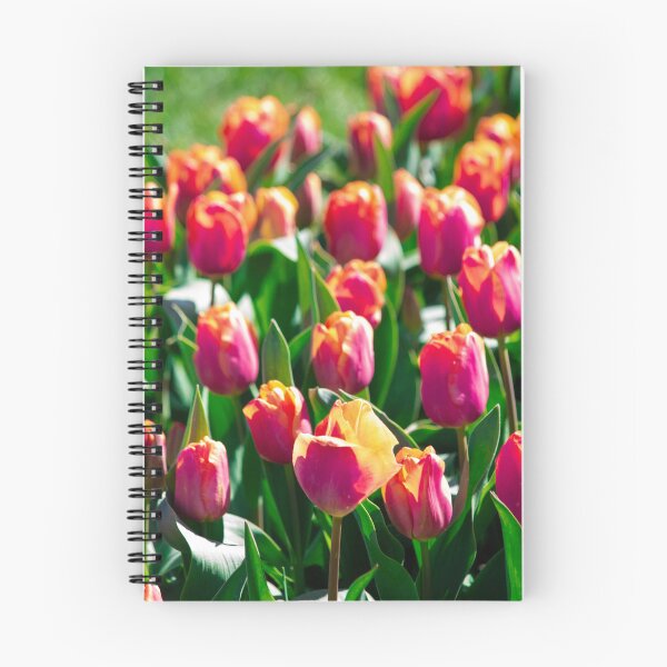 Aperçu de l'œuvre Tulipes de Skagit 2026 créée et vendue par AdrianJune.