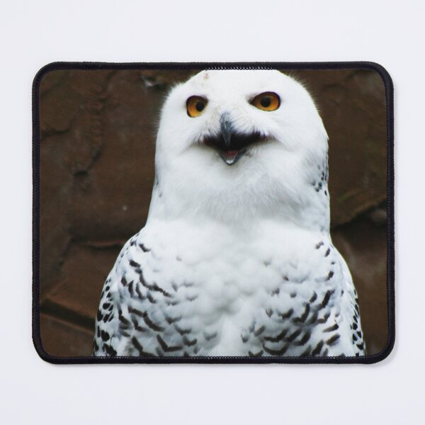 Item preview, Snowy Owl designed and sold by Alan Harman.