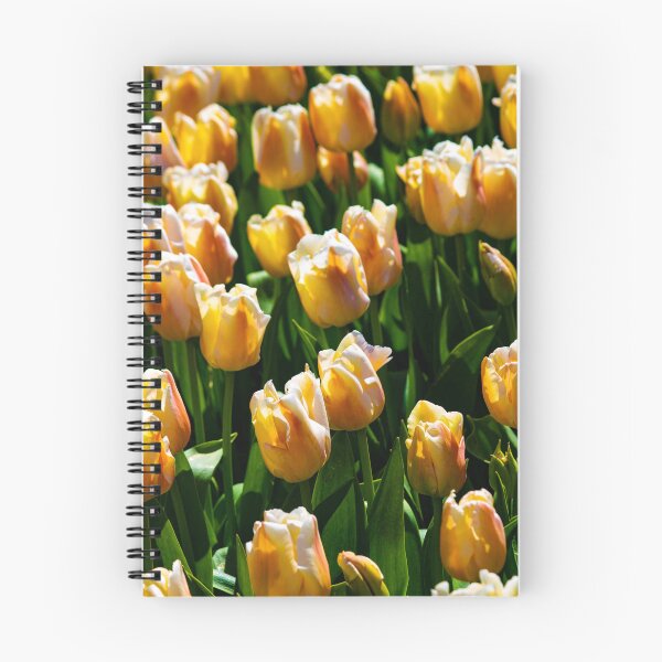 Item preview, Tulipanes amarillos designed and sold by AdrianJune.