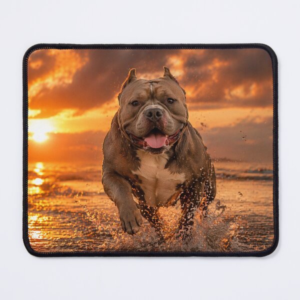 Item preview, American Bully Running at Sunset – Powerful Dog Aesthetic Design designed and sold by Inkmatic Studio.