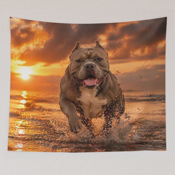 Item preview, American Bully Running at Sunset – Powerful Dog Aesthetic Design designed and sold by Inkmatic Studio.