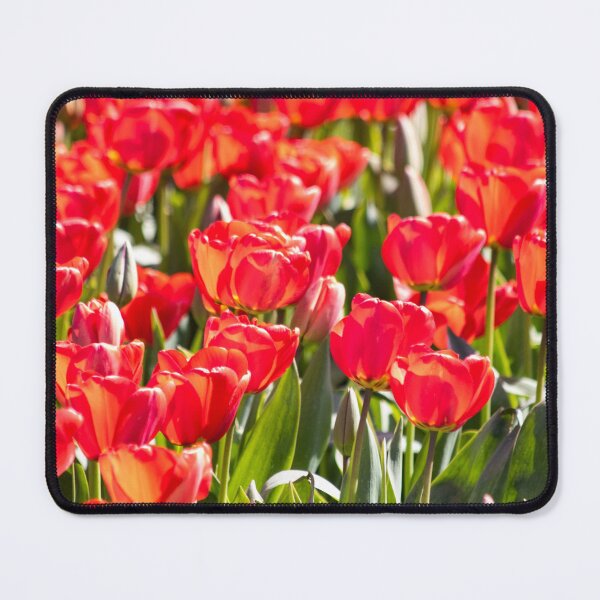 Item preview, Red Tulips group designed and sold by AdrianJune.