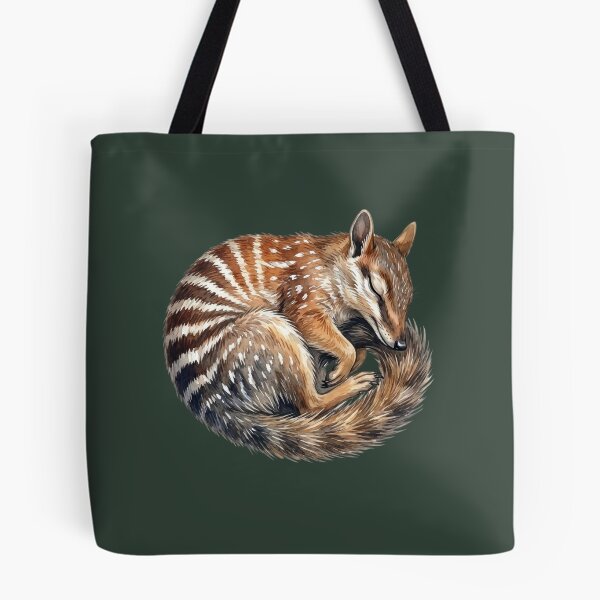 Item preview, Sleeping Numbat Illustration - Curled Up Australian Marsupial Nature Art designed and sold by Wennebabs.