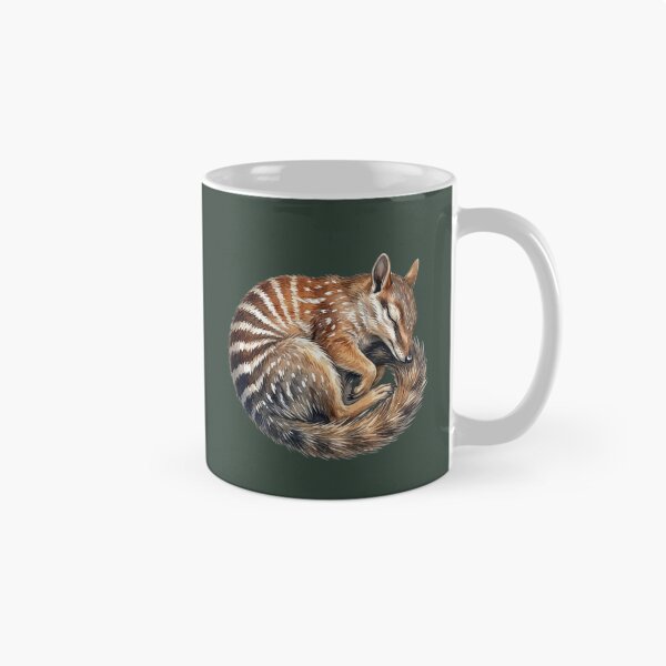 Artikelvorschau, Illustration eines schlafenden Numbats – Zusammengerolltes australisches Beuteltier (Naturkunst) entworfen und verkauft von Wennebabs.