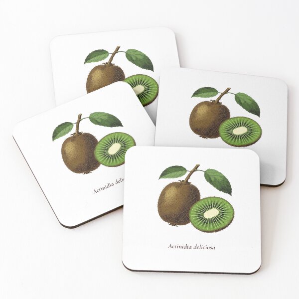 Item preview, Kiwi Botanical T-Shirt | Actinidia deliciosa Vintage Illustration | Fruit Lover Gift designed and sold by Panom Suavichien.