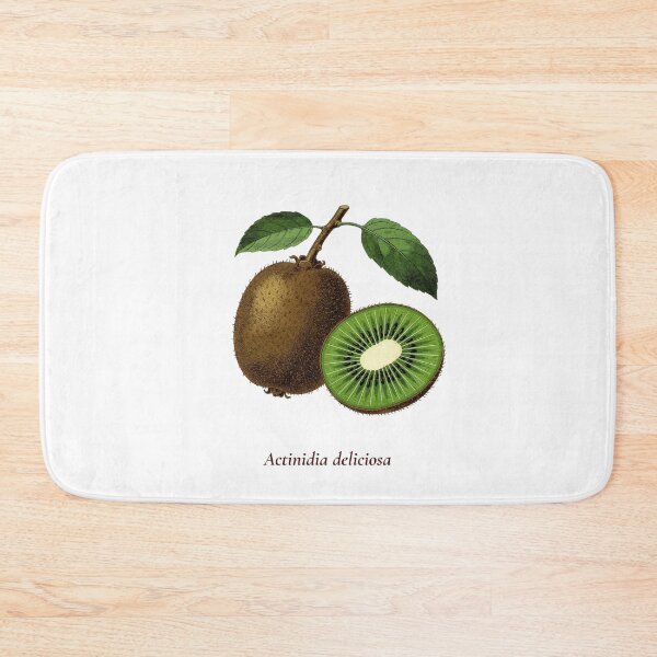 Item preview, Kiwi Botanical T-Shirt | Actinidia deliciosa Vintage Illustration | Fruit Lover Gift designed and sold by Panom Suavichien.