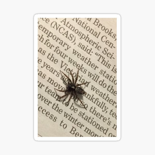 Spider on a book Sticker