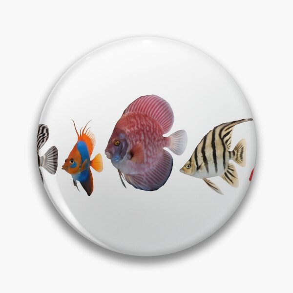Item preview, A group of colorful fish on transparent background designed and sold by Creative88Art.