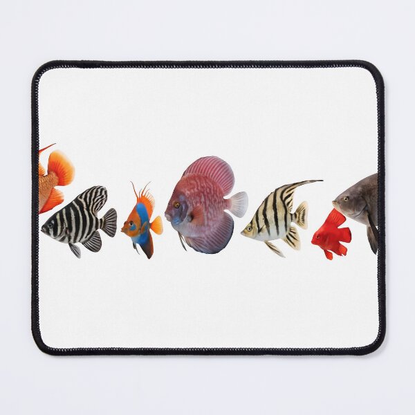 Item preview, A group of colorful fish on transparent background designed and sold by Creative88Art.