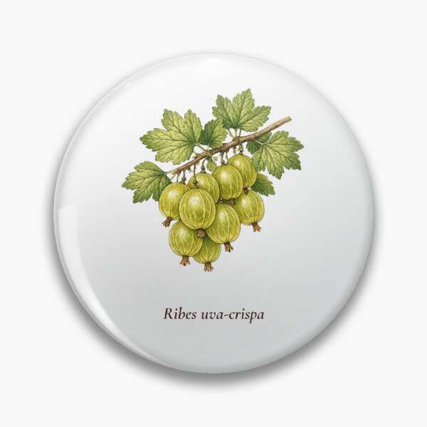 Item preview, Gooseberry Botanical T-Shirt | Ribes uva-crispa Vintage Illustration | British Garden Gift designed and sold by Panom Suavichien.