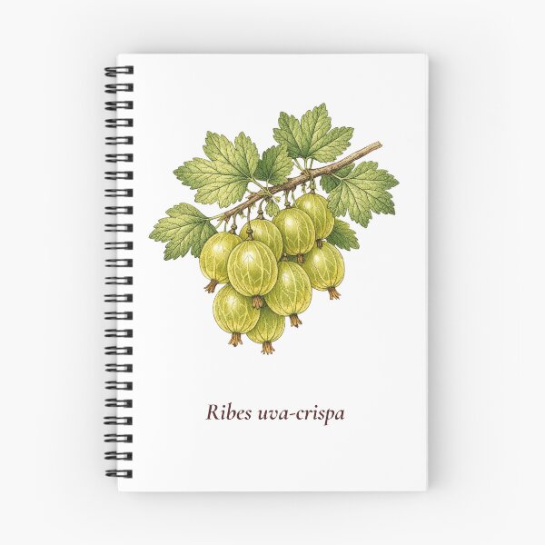 Item preview, Gooseberry Botanical T-Shirt | Ribes uva-crispa Vintage Illustration | British Garden Gift designed and sold by Panom Suavichien.