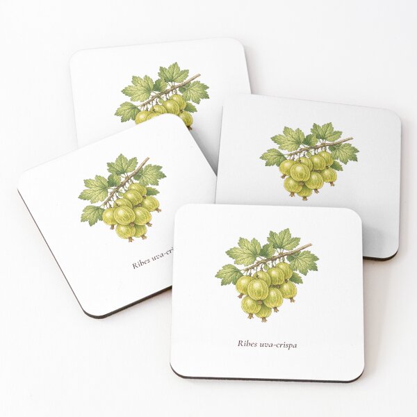 Item preview, Gooseberry Botanical T-Shirt | Ribes uva-crispa Vintage Illustration | British Garden Gift designed and sold by Panom Suavichien.