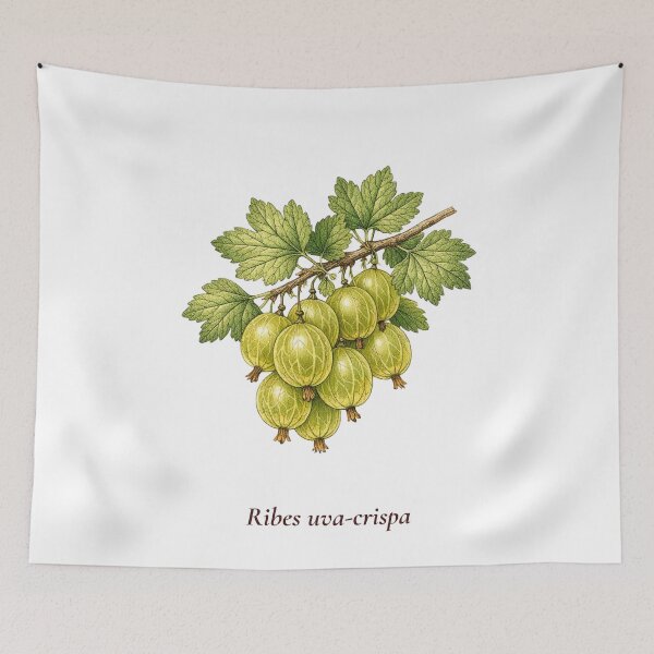 Item preview, Gooseberry Botanical T-Shirt | Ribes uva-crispa Vintage Illustration | British Garden Gift designed and sold by Panom Suavichien.