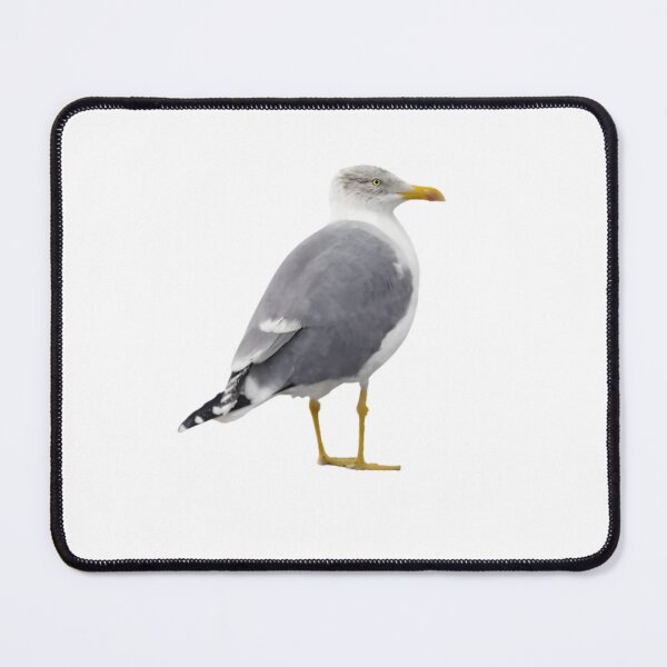 Item preview, Yellow-legged Gull (Larus michahellis) designed and sold by HOMETOWN86.