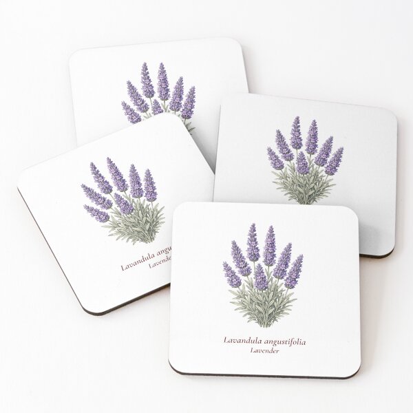 Item preview, Lavender Botanical T-Shirt | Lavandula angustifolia Vintage Illustration | Herb Lover Gift designed and sold by Panom Suavichien.