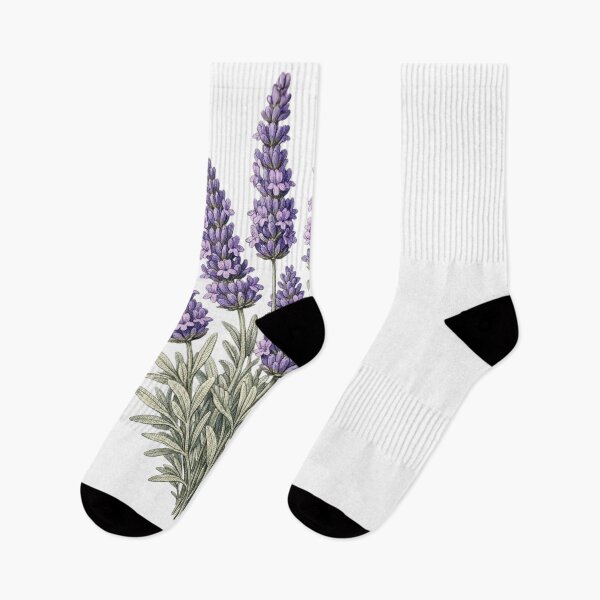 Item preview, Lavender Botanical T-Shirt | Lavandula angustifolia Vintage Illustration | Herb Lover Gift designed and sold by Panom Suavichien.