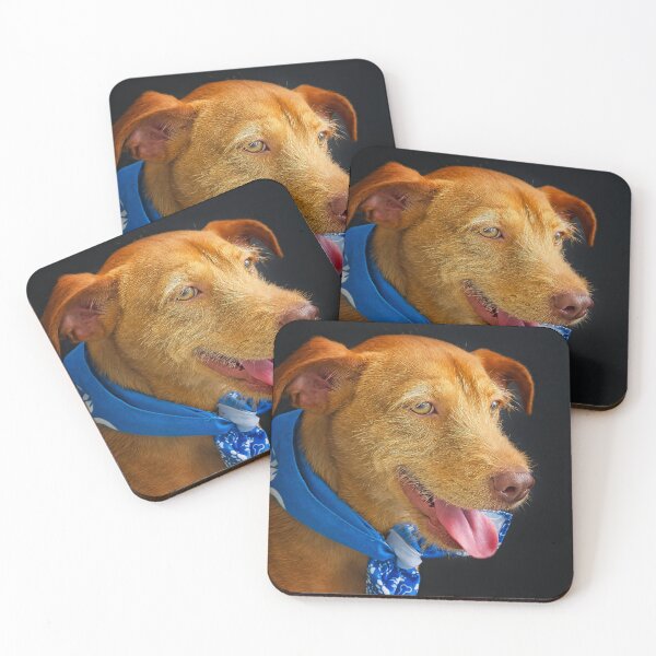 Item preview, Haku - Hawaiian Humane Society's Couch Crashers Program Participant designed and sold by Alex Preiss.