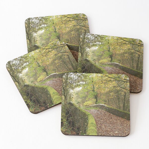 Item preview, Leaf strewn bridge designed and sold by Murph's Images.