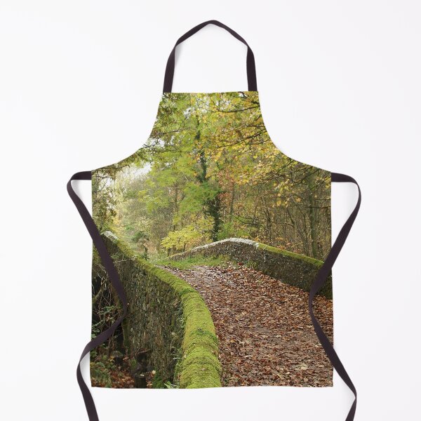 Item preview, Leaf strewn bridge designed and sold by Murph's Images.