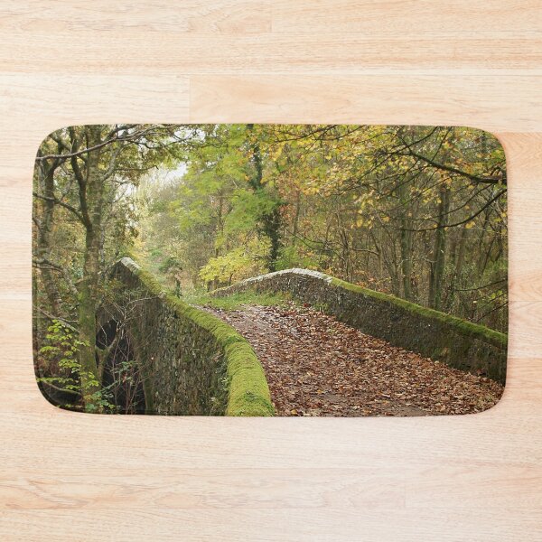 Item preview, Leaf strewn bridge designed and sold by Murph's Images.