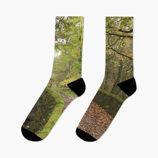 Item preview, Leaf strewn bridge designed and sold by Murph's Images.