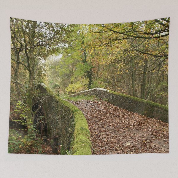 Item preview, Leaf strewn bridge designed and sold by Murph's Images.
