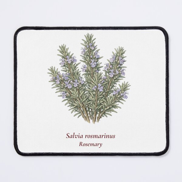 Item preview, Rosemary Botanical T-Shirt | Salvia rosmarinus Vintage Illustration | Herb Lover Gift designed and sold by Panom Suavichien.
