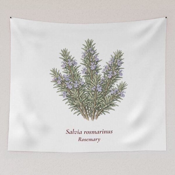 Item preview, Rosemary Botanical T-Shirt | Salvia rosmarinus Vintage Illustration | Herb Lover Gift designed and sold by Panom Suavichien.