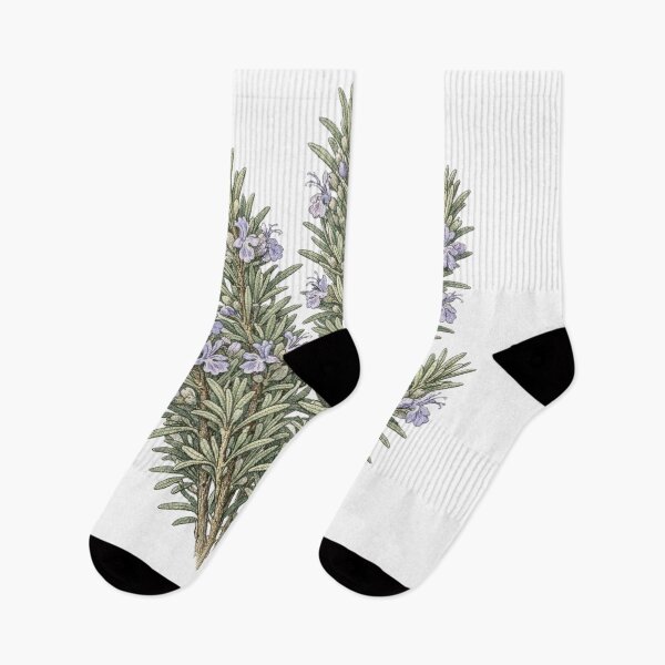 Item preview, Rosemary Botanical T-Shirt | Salvia rosmarinus Vintage Illustration | Herb Lover Gift designed and sold by Panom Suavichien.